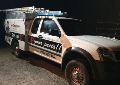 Rat removal Melbourne