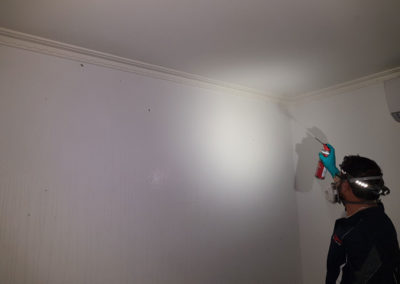 Pest Spraying