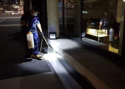 Commercial pest removal